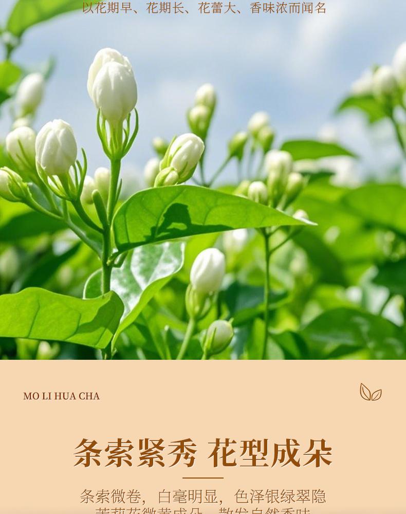 Xiao Cha Diary Jasmine Tea Canned Tea 150g Guangxi Heng County Jasmine Tea Cellioned Green Tea
