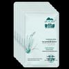 DR PLANT Yuanjiang Aloe Deep Hydrating Mask