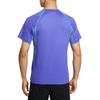Nike ACG T Shirts Men's Persian Purple/Gray Cactus Green/Summit White Crew Neck Moderate Straight Fit IO1453-510