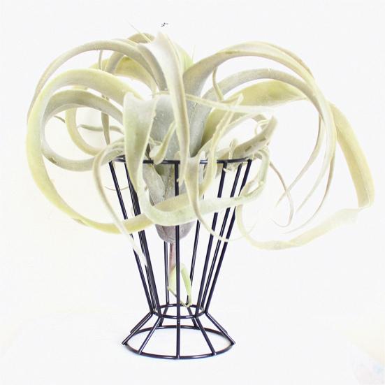 Flower Stand Elegant Hollowed Metal Flower Vase Stand for Weddings Centerpiece Offices Home Decoration