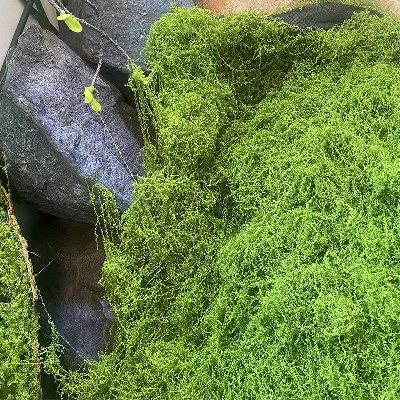 Perfect for Micro Landscapes, Window Décor, and Design Layouts,Faux Moss Bionic Artificial Moss, Green Moss Micro Landscape