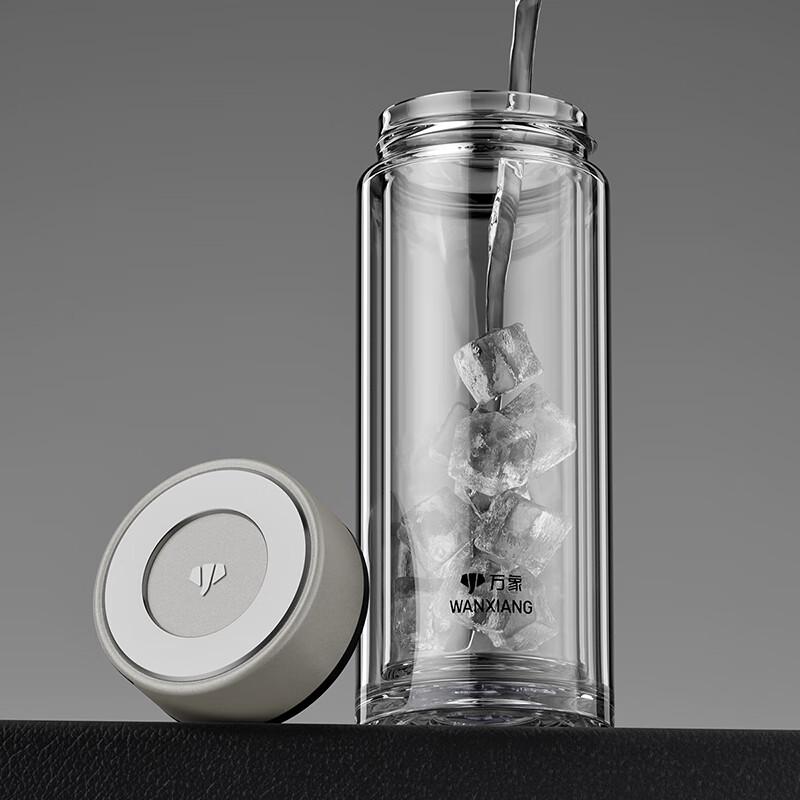 Portable Double-Wall Glass Tea Infuser Bottle