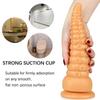 Oktopus Fußdildo Analplug Großes Masturbationsgerät Erweiterung Analgerät Pagode Hinterhof Zugperlen Sexy Erwachsene Produkte
