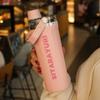 Large Capacity Stainless Steel 304 Insulated Water Bottle Portable Drinking Cup with Straw Lid Screw Cap Double Water Cup