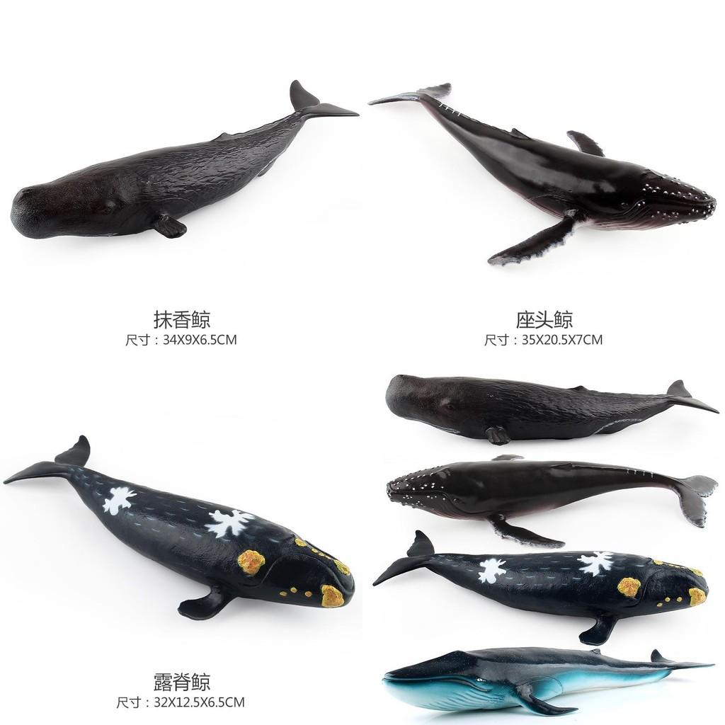 Soft Pvc Ocean Animal Model Toy Collection Featuring Blue Whale And Sperm Whale