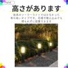 Raatel LED Solar Set of Pole Solar Lights for Outdoor Garden Lights, 2, Lights, Use, Waterproof, Bright, Stylish,