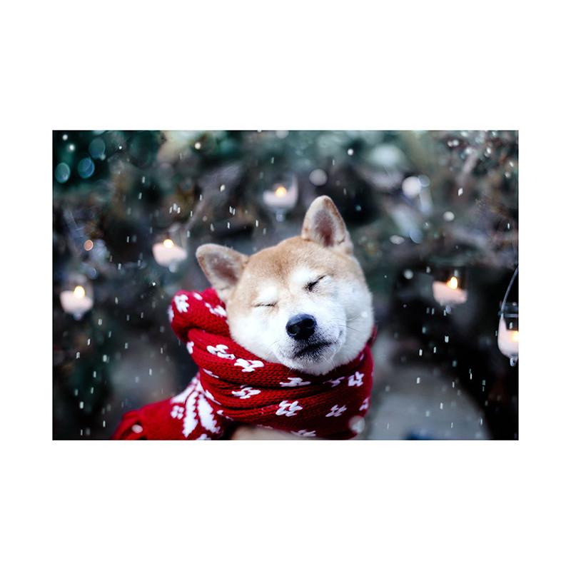 Pet Themed Christmas Photography Backdrop,Party Banner,Wall Decor,for Parties Backdrops,Holiday Decor,Photo Studio