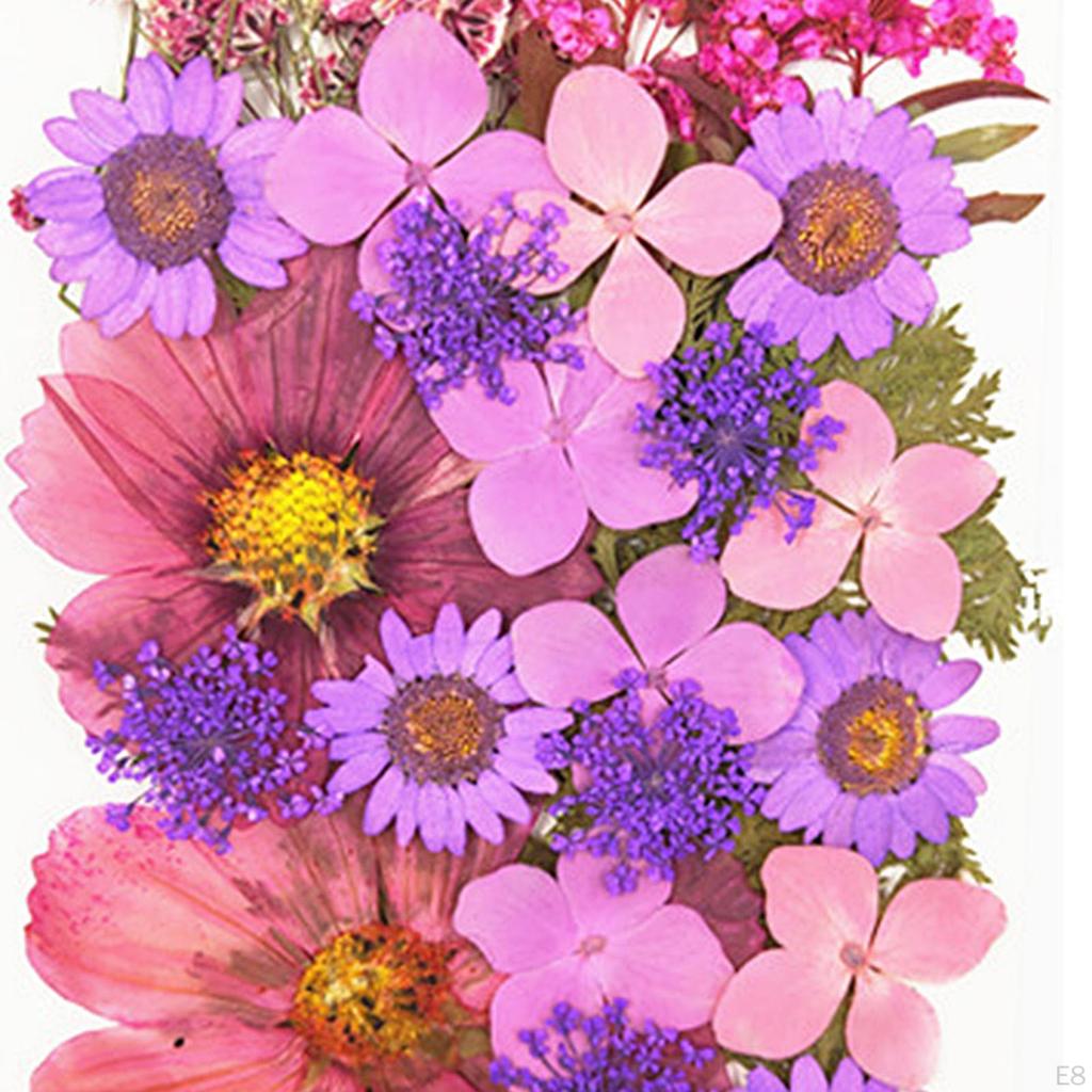 Mixed Dried Pressed Flowers for Wedding Invitations, Envelopes, Bookmarks, Table Decorations,