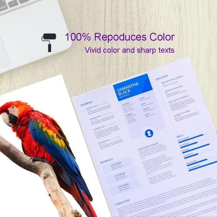 Ink Cartridges 603XL - Epson - Compatible - Pack of 5 - Multi-colors - 500 Pages/black