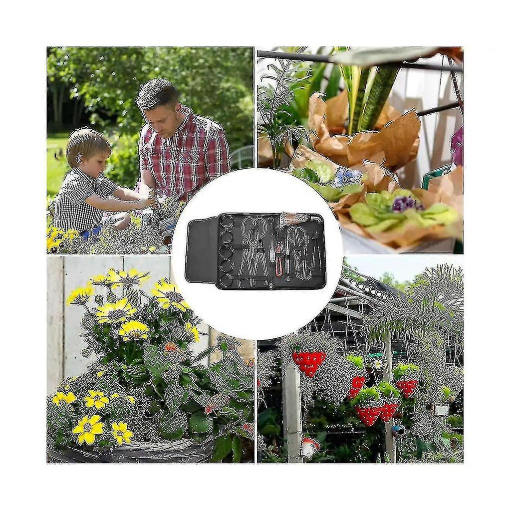 Set di 16 attrezzi per bonsai da giardino in acciaio al carbonio, forbici taglienti con custodia in nylon