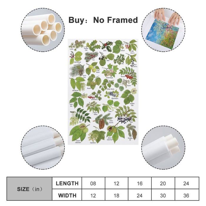 Poster Vintage Sur Toile - HNPBB - Plantes Et Feuilles - 40x60 Cm - Impression Moderne