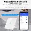 Tuya WiFi Smart Water Heater Switch 20A/40A High Power Touch Wall Panel with APP Remote Timer and Voice Control for Boiler AC Alexa Google