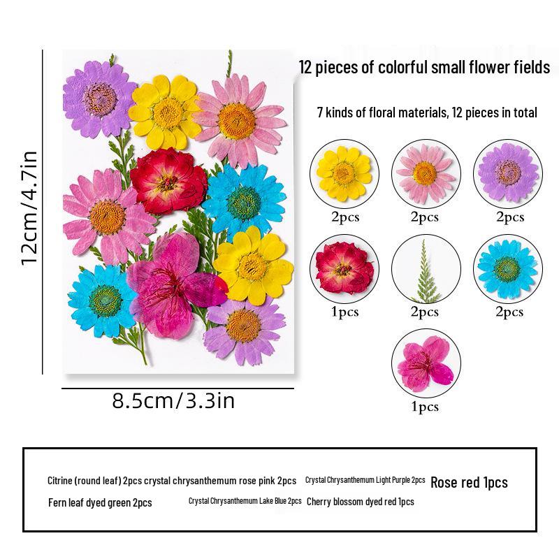 DIY Dried Flower Specimen Sticker Set for Kids: Handmade Pressed Flower Frames & Resin Bookmark Craft Kit