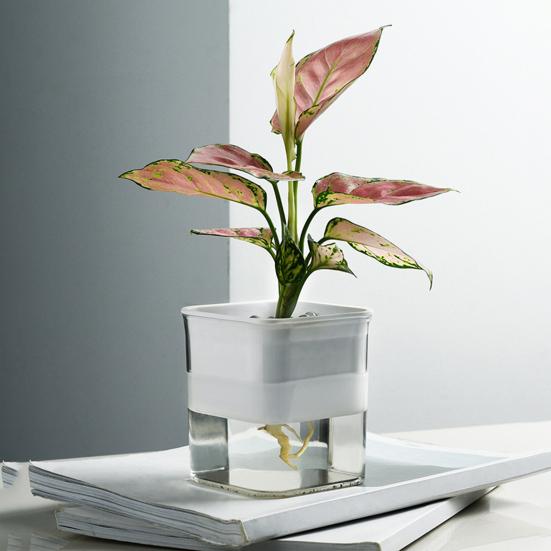 

Цветочный горшок, прочные самополивающиеся пластиковые автоматические водопоглощающие контейнеры для растений для дома