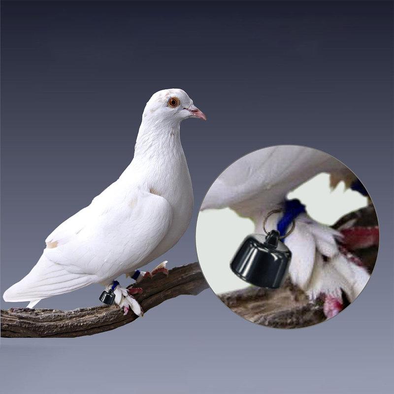 NEW Gps Tracker with Adjustable Collar System FindMy App Air Tag Smart Bluetooth Locator Child Finder Bag Anti-Loss Pet Collar
