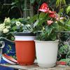 Large Nordic-Style Resin Flower Pot for Indoor/Outdoor Use: Imitation Ceramic Planter for Green Plants & Succulents