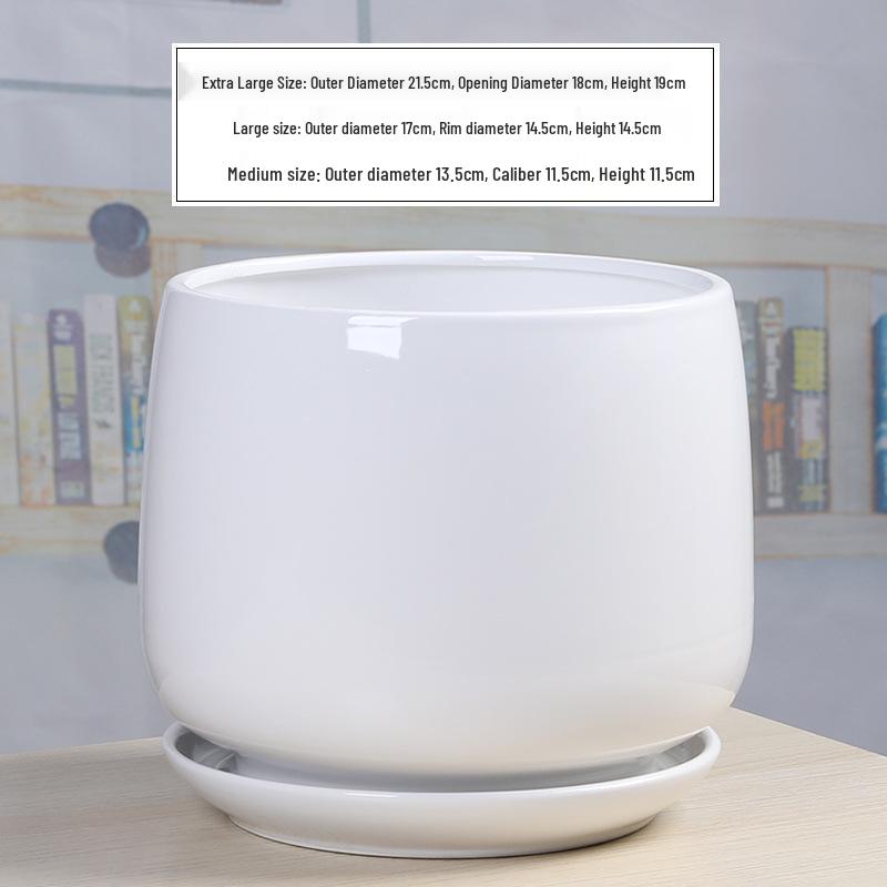 Simple White Ceramic Flower Pot with Base for Indoor Plants - Available in Large and Extra Large