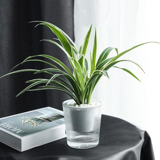 Vaso de Flores Autoirrigável Plástico Listrado com Cordas de Pavio Reservatório de Água Vaso para Plantas de Interior para Mesa Escritório Decoração de Casa