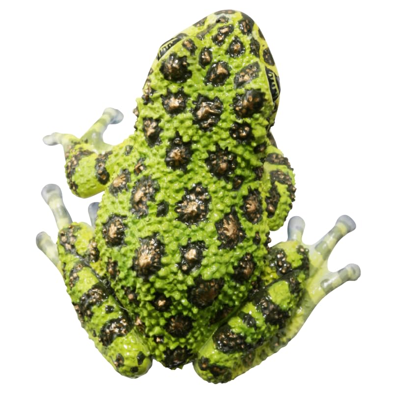 Grenouilles Japonaises Technicolor Nature Édition Spéciale Grenouille Isikawa d'Okinawa Jouet Capsule Gachagacha