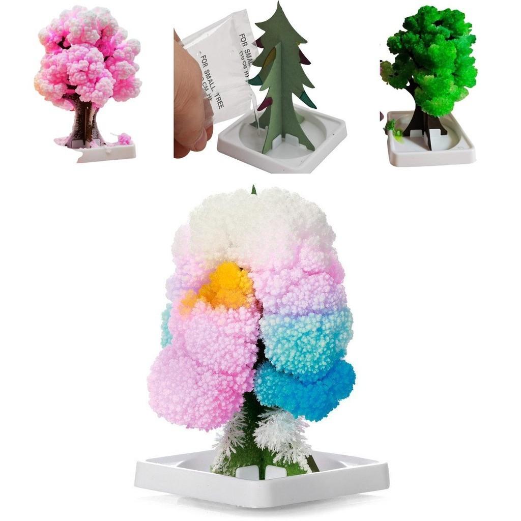 Paper Tree Magic Tree Amazing Flowering And Crystal Growing Toy For Kids