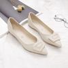 Pointed Thick-heeled Single Shoes Temperament New Spring and Autumn Versatile Flat-soled Ladyshoes Soft-soled Black Flat-heeled Work Shoes