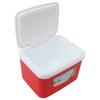 5L Cooler Box Portable Insulin Cooler Box Home Camping Portable Refrigerated Food Cooler Red
