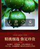 Xiaocha Diary Qinggan Tea Gift Box