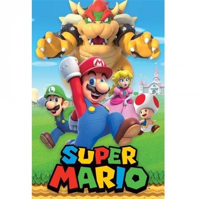 Super Mario Bros Characters Poster