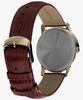TIMEX Easy Reader Watch Brown TX-TW2W95500