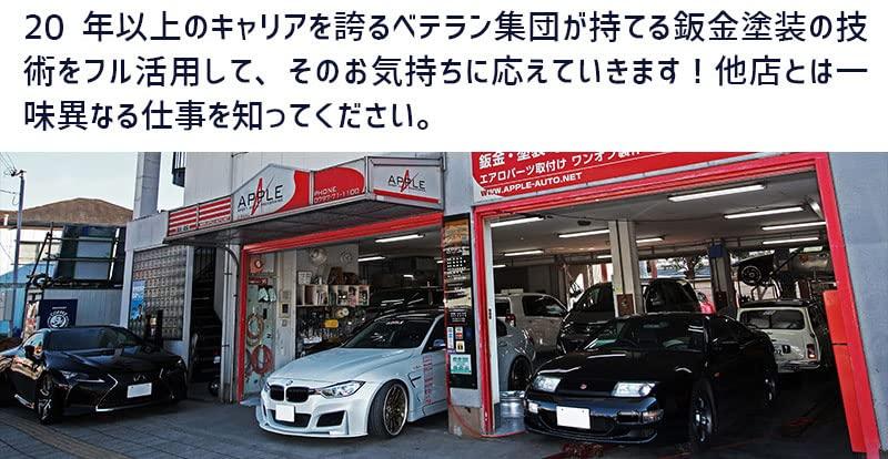 HYOGO PAINT Touch-Up Paint for Nissan Note Aura Pure White Pearl (Color Code QAC) 20ml Topcoat and Basecoat Set - Paint for Repair