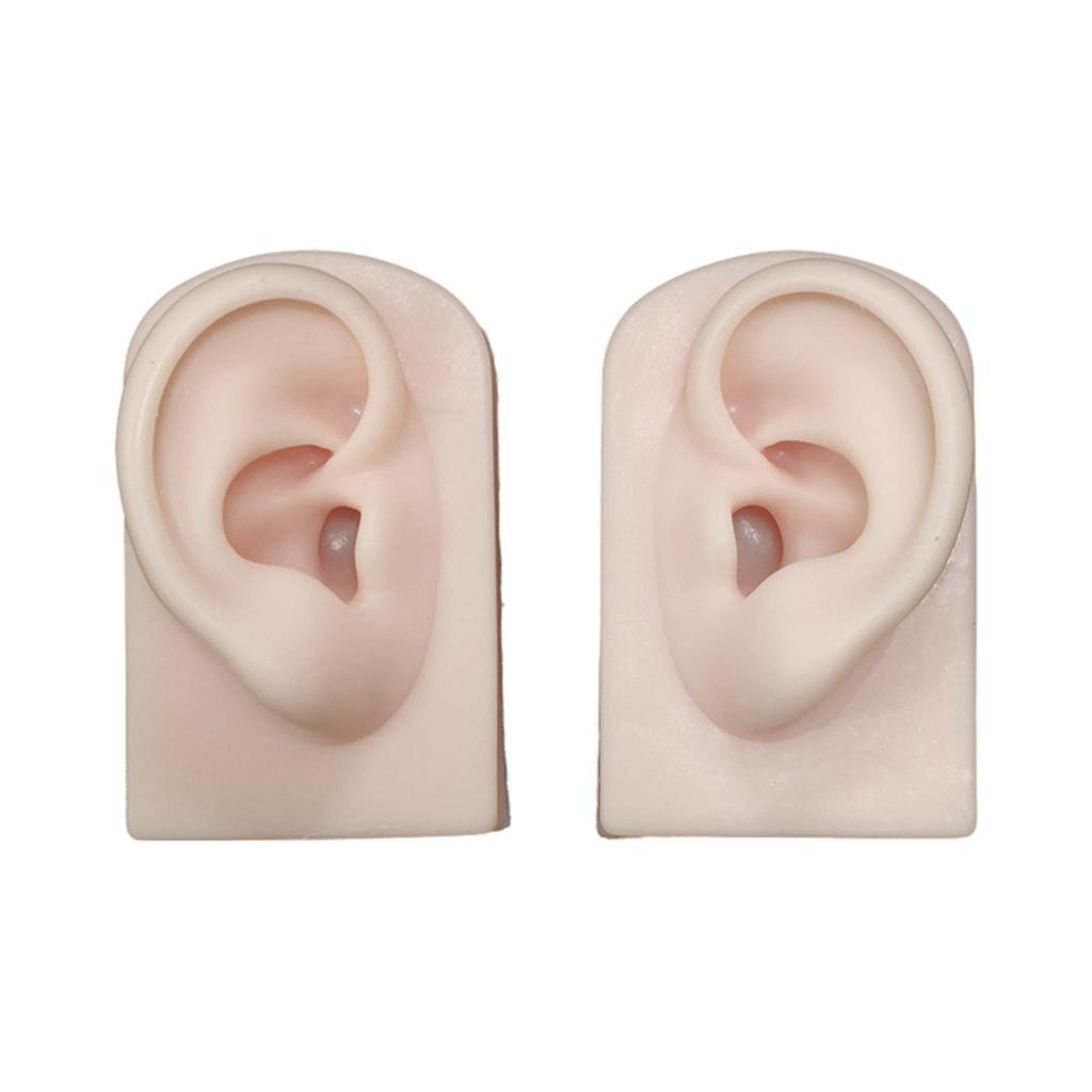 Silicone Ear Model for Piercing Practice and Jewelry Display Realistic Left and Right Human Ear Simulation Ears Replicas
