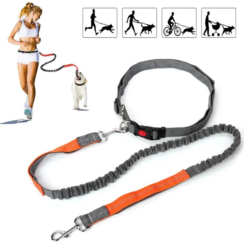 A96I-Retractable Dog Leash With Adjustable Waist Rope Hand-Free Running Jogging Cycling Pet Elasticity Lead For Big Dogs
