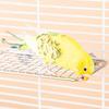 Pet Parrot Stainless Steel Rest Jump Platform Stand Board Chew Bite Toys Stick Tree Branch Stand Rack Bird Cage Accessories