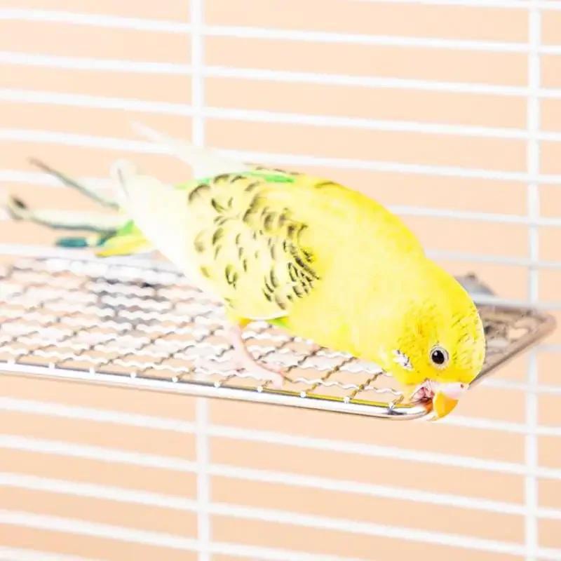 Pet Parrot Stainless Steel Rest Jump Platform Stand Board Chew Bite Toys Stick Tree Branch Stand Rack Bird Cage Accessories