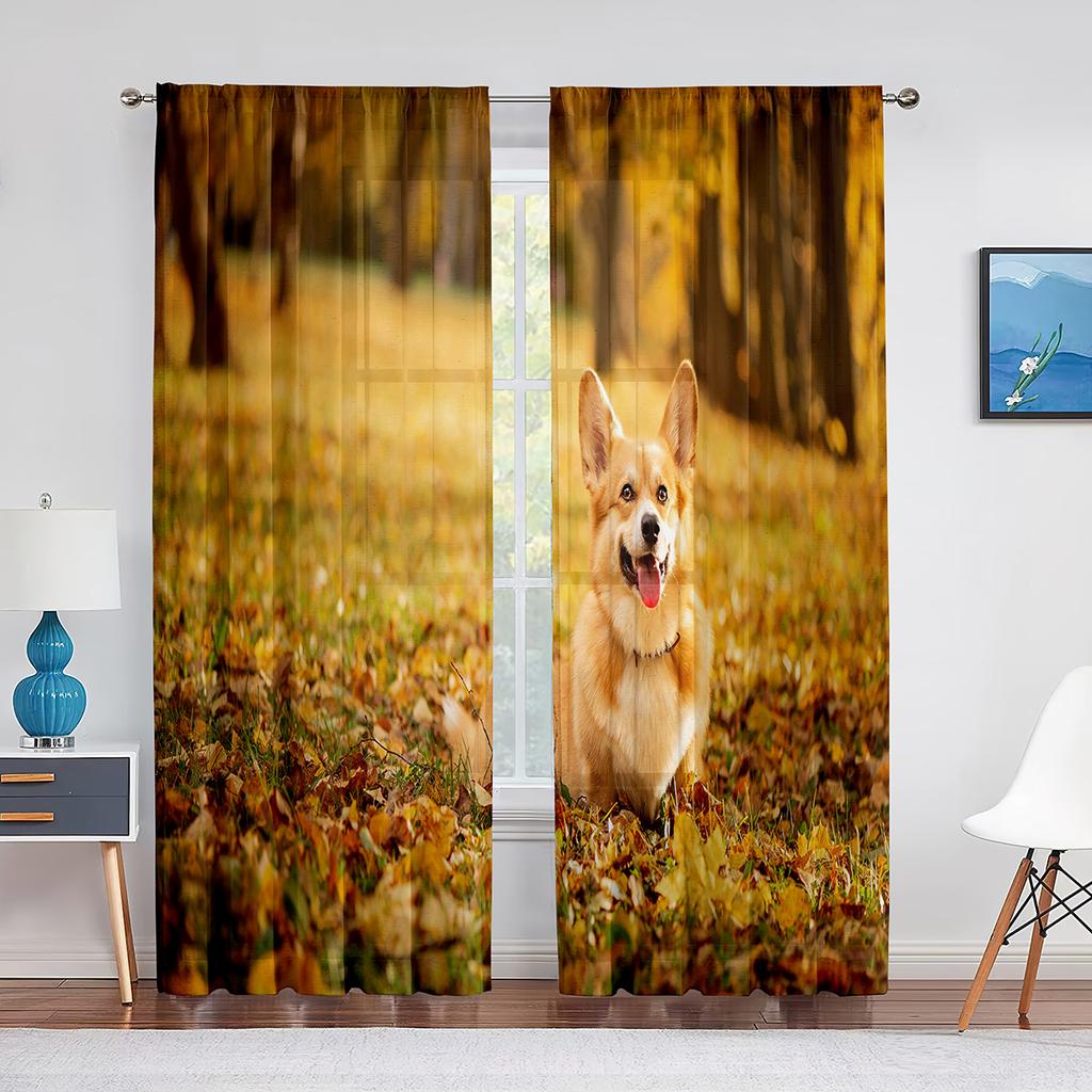 Corgi In The Flower Field Puppy Dog Sheer Curtains Window Treatment for Kitchen Living Room Bedroom Decor Modern Tulle Curtains