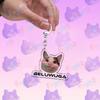 Funny Cute Cat Meme Keychain Accessories Bag Charms Cat Lover Animal Keychains Keyrings Jewelry Fans Cute Cartoon Freinds Gift