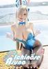 Hane Ame Cosplay Photobook Blue Archive Karin Tsunodate