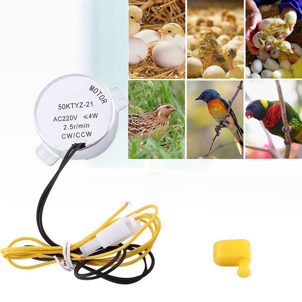 2 Tip 110/220V AC Tavuk Yumurta Çevirme Rotator Kuluçka Motoru Bağlantılı