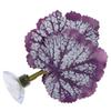 Betta Fish Leaf Pad Plastic Leaf Betta Hammocks with Suction Cup for Fish Tank Aquarium Decoration