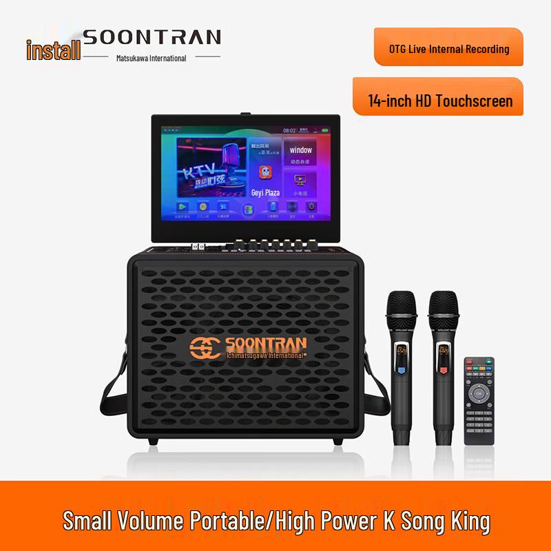 Portable Outdoor KTV Karaoke Speaker System with Dual Mics