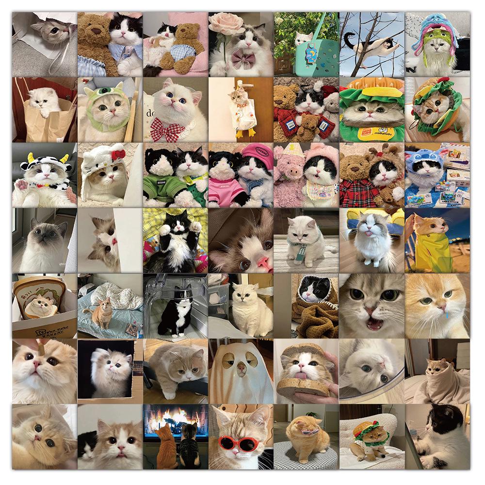 1800 Realistic Cartoon Kitten Stickers: Cute Cat Graffiti Collection for Creative Decoration