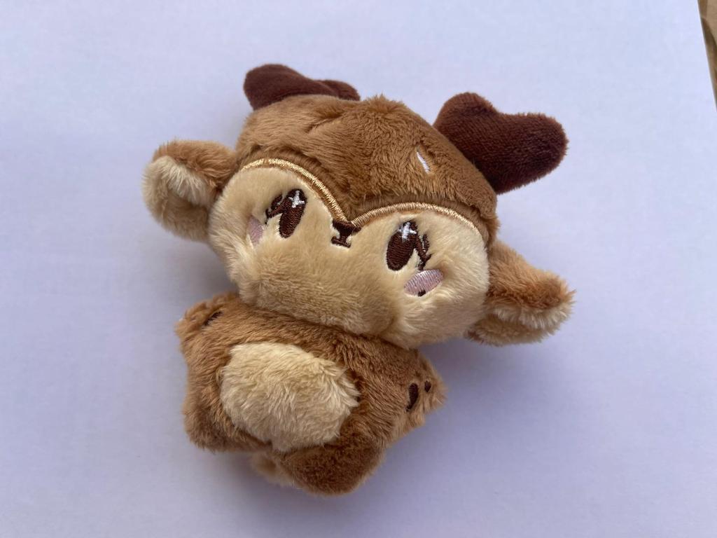 EN Plush Keychain Doll: Liang Zhenyuan, Shen Zai Lun, Park Zongxing, JAY Park, Chengxun Characters