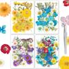160 Pcs Dried Pressed Flowers for Resin Molds Colorful Real Pressed Flowers Natural Dry Flowers and Leaves Kit with Tweezers DIY