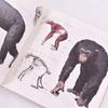 Illustrated Guide To Animal Anatomy