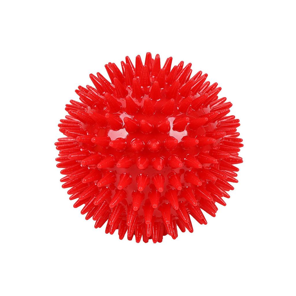 spiky dog ball