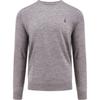 Polo Solid Color Logo Embroidered Crew Neck Pullover Slim Fit Long Sleeve Sweater Men Sweater Gray 710946143-002