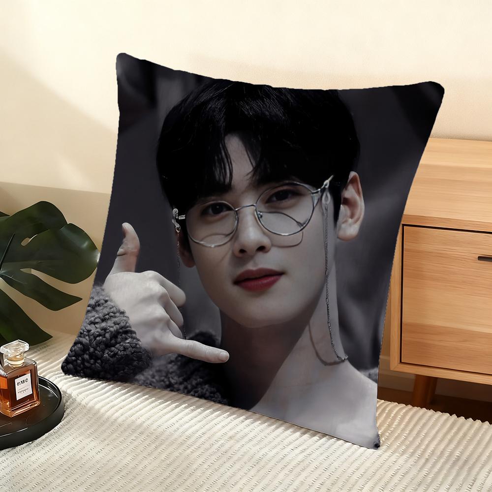Singer Cha E-Eun W-Woo Cushion Cover Soft Short Plush Pillow Cover Smooth Cozy Texture Aesthetic Cushion Case Home Decor