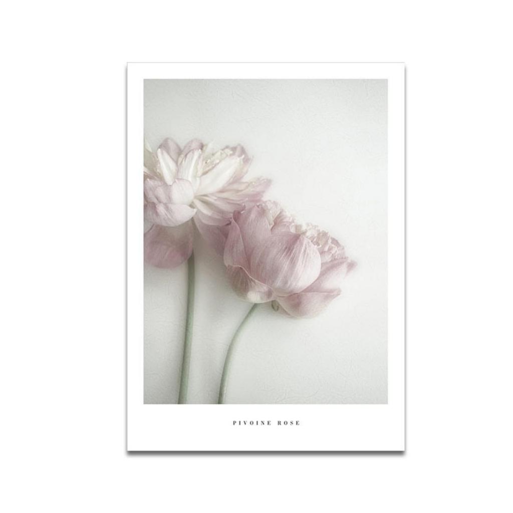 Salade Mama 3-Piece Art Poster Set, A4 Size, Frameless, with Flower, Plant, and Figure Motifs, Korean-Style Interior Design