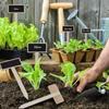 Board Seedling Tags Classification Plant  Markers Plants  Signs Plant Tags Garden Decoration Tools