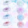 Rain Umbrella Transparent Umbrella Transparent Folding Umbrella Fashionable Princess Umbrella Cherry Blossom Four Colors